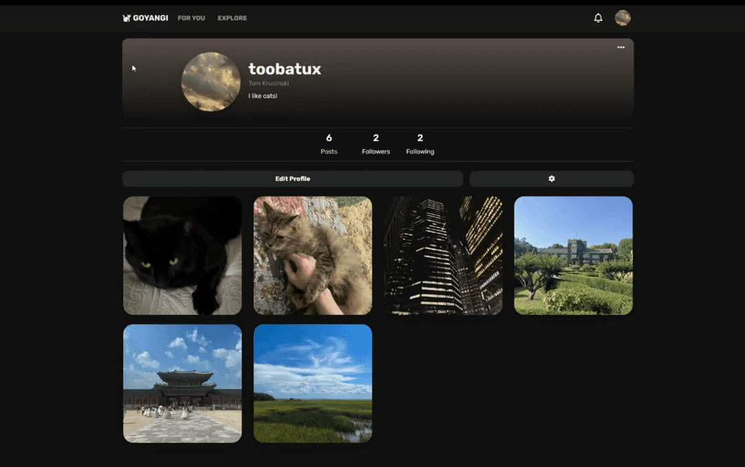 Goyangi: A Social Network for Cat Photos